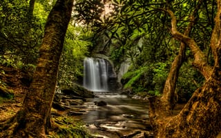 Картинка лес, солнце, ветки, мох, водопад, ручей, деревья, камни