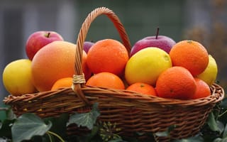 Обои яблоко, цитрусы, корзина, апельсин, мандарин, фрукты, лимон