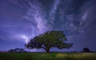 Картинка Дерево, Ночь, Звезды, Молния, Energo5