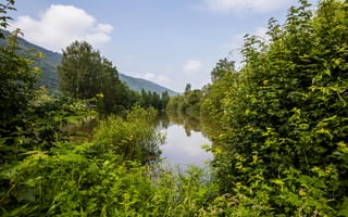 Картинка зелень, лес, горы, Nehren, Германия, лето, деревья, пруд