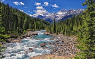 Картинка Mistaya River, лес, Национальный парк Банф, Banff National Park, Альберта, Alberta, Canada, Канада, горы, река