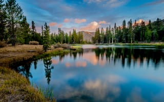 Картинка лес, природа, горное озеро
