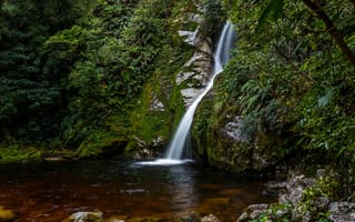 Картинка лес, ручей, мох, водопад, камни, Новая Зеландия, Hokitika, кусты