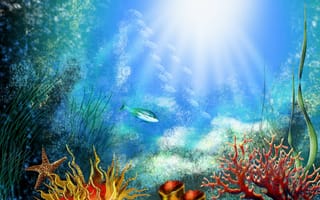 Картинка водоросли, кораллы, рыбки, Дно