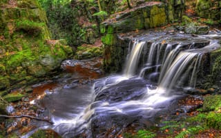 Картинка лес, ручей, HDR, Jepsons Clough Waterfall, Rivington, камни, мох, Англия
