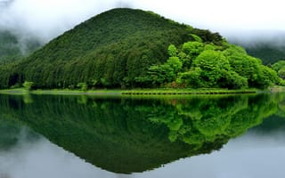 Картинка гора, отражение, япония, пейзаж, Lake Tanuki, Fujinomiya, зелень