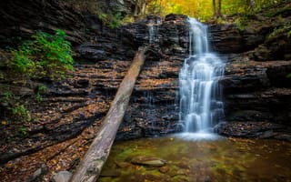 Картинка осень, лес, камни, водопад, Ricketts Glen, ручей, листья, США