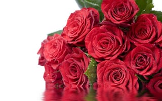 Картинка Дорогие Дамы С 8 Марта!, розы, отражение, вода, красные, капли, цветы, листья