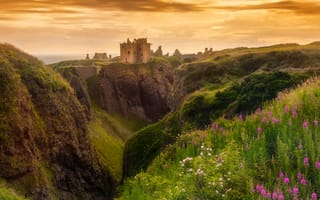 Картинка цветы, горы, холмы, замок, от lolita777