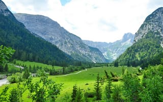Картинка пейзаж, деревья, Tyrol, лес, Austria, ркчька, Австрия, Тироль, гры