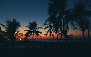 Обои пляж, закат, пальмы
