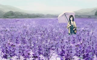 Картинка цветы, девушка, корзина, зонтик, зонт, арт, поле, лаванда