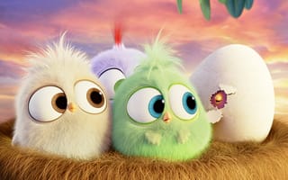 Картинка мультфильм, яйцо, птички, Hatchlings Angry Birds, гнездо