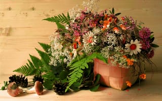 Картинка корзина, цветы, грибы, листья, шишки
