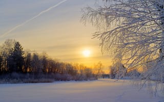 Картинка Швеция, солнце, поляна, зима, иней, снег, утро, восход, деревья, лес
