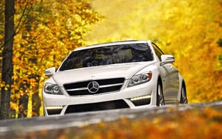 Картинка Mercedes-Benz, осень, мерседес, деревья, amg, амг, цл63, листья, передок, белый, суперкар, cl63