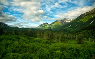 Картинка горы, США, Chugach National Forest Alaska, леса