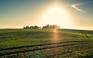 Картинка зелень, закат, природа, Nature, fields, sunset, поля, green