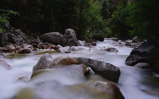 Картинка лес, деревья, камни, Cottonwood, река, США