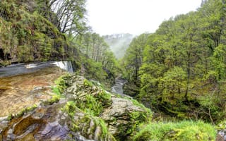 Картинка лес, деревья, утро, ручей, водопад, туман, Великобритания, камни