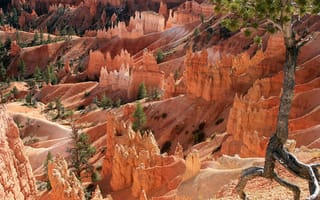 Картинка Юта, USA, Utah, Bryce Canyon, Брайс-Каньон, США