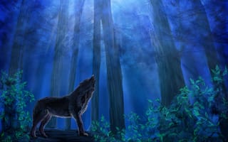 Картинка волк, синее, ночь, листья, животное, лес, нуна, живопись, хищник, небо, деревья