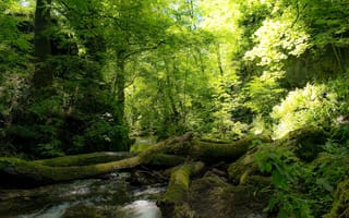 Картинка Англия, Йоркшир, Janet's Foss waterfall, Malham, Yorkshire