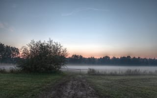 Картинка поле, туман, fog, утро, morning, field, Природа, nature