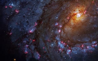 Картинка Гидра, M83, спиральная галактика, созвездие