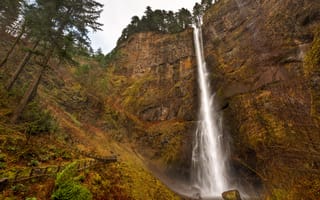 Картинка деревья, скалы, Multnomah falls, Oregon, США, водопад
