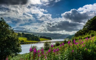 Картинка облака, цветы, Derwent Valley, Ladybower Reservoir, долина, водохранилище, Derbyshire, Водохранилище Ледибауэр, Peak District, England, Дербишир, Пик-Дистрикт, Англия, мост