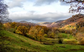 Картинка осень, лес, горы, Grasmere, облака, Англия, трава, деревья