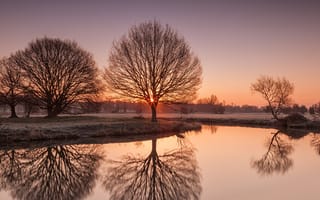 Картинка River Stour, Suffolk, иней, UK, деревья, озеро, природа, утро