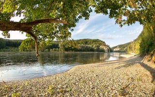 Картинка солнечно, камешки, река, деревья, Kelheim, берег, Германия, лес, ветки