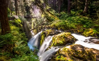 Картинка лес, деревья, мост, водопад, камни, скалы, ручей, мох