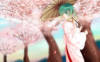 Обои арт, mikevd, девушка, кимоно, деревья, сакура, vocaloid, зонт, лепестки, hatsune miku, вокалоид