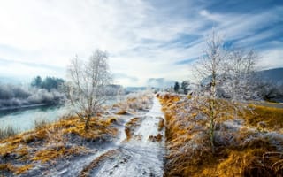 Обои дорога, природа, снег