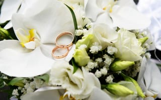 Картинка цветы, розы, orchid, кольцо, свадьба, ring, орхидея, white