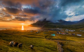 Картинка поля, горизонт, закат, Дания, Faroe Islands, горы, море, Famjin, побережье, облака, домики