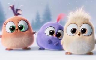 Картинка cinema, game, wings, bird, young, eyes, design, Blizzard