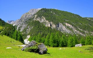 Картинка зелень, лес, деревья, солнце, камни, горы, небо, трава