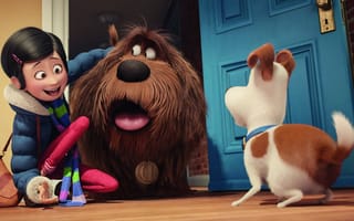 Картинка cinema, movie, film, dog, house, full hd, cartoon
