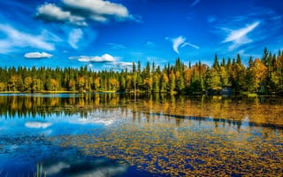 Картинка осень, лес, Норвегия, озеро, листва, HDR, облака, небо