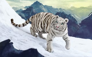 Картинка Рисунок, Тигр, Снег, Животные