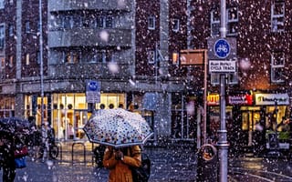 Картинка umbrella, snowing, people