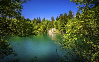 Картинка лес, деревья, Хорватия, Плитвицкие озёра, Plitvice Lakes National Park, озёро, водопад, Croatia, Национальный парк Плитвицкие озёра