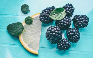 Картинка ягоды, лимон, ежевика, мята, фрукты