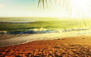 Картинка пейзажи, побережье, пальмы, природа, море, вода, palms, океан, солнце, beach, песок, пальма, берег