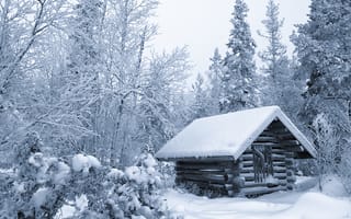 Обои лес, избушка, зима, снег, деревья, Финляндия, хижина