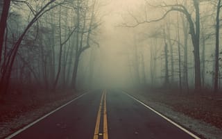 Картинка туман, деревья, трасса, дорога, лес